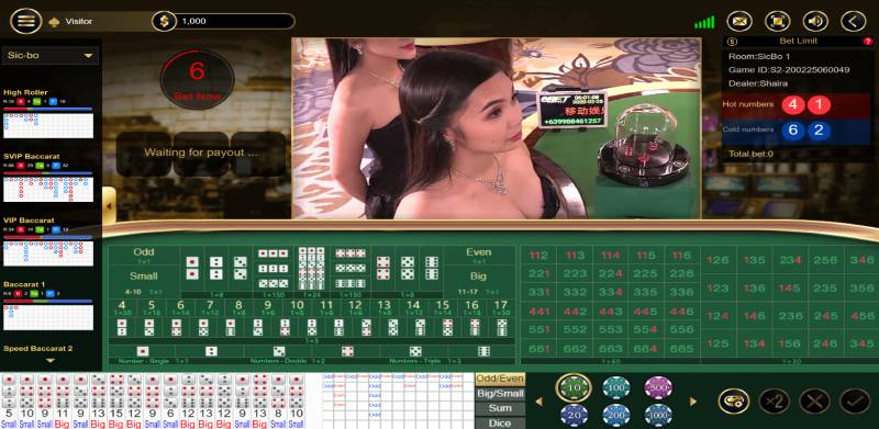 Phân tích kết quả và nhận diện chuỗi